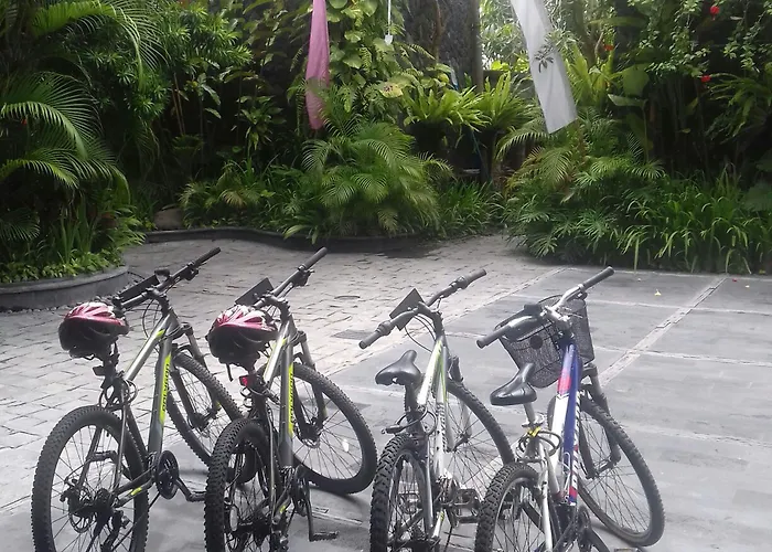 The Bali Dream & Echo Canggu