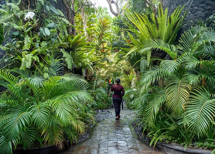 The Bali Dream & Echo Canggu